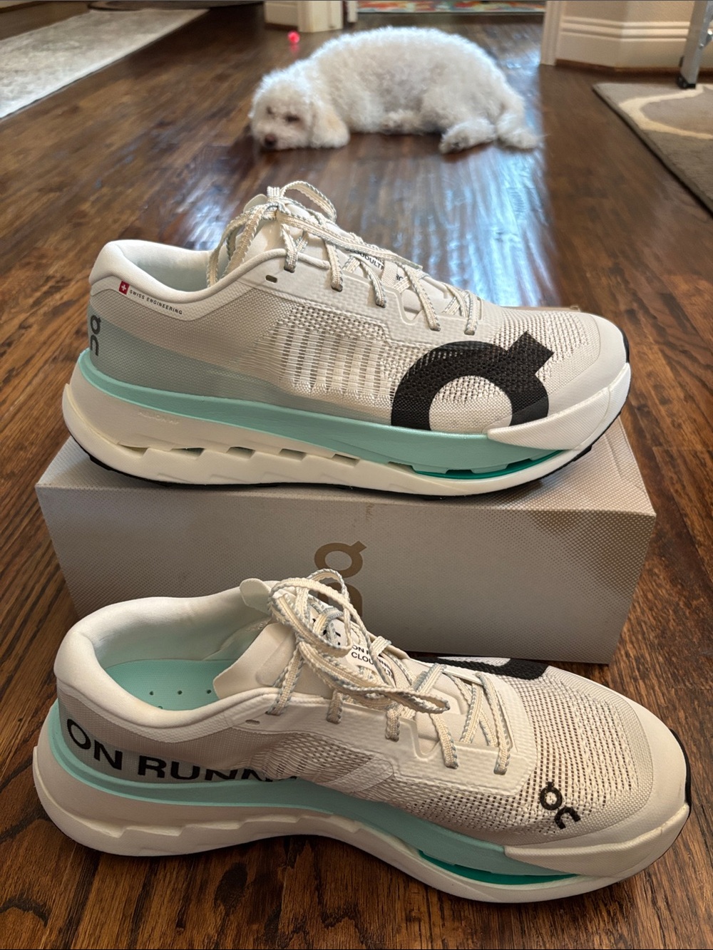 On Cloudultra Pro Trail Running Shoes